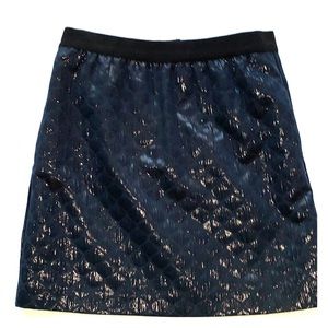 Ann Taylor Loft Skirt
